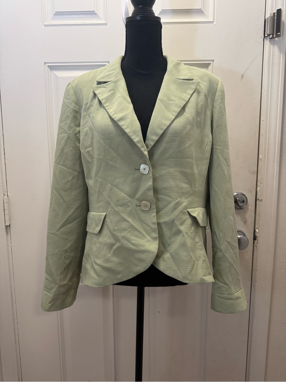 Larry Levine Pale Green Tailored Blazer